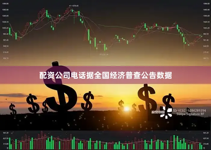 配资公司电话据全国经济普查公告数据