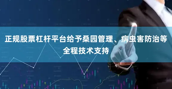 正规股票杠杆平台给予桑园管理、病虫害防治等全程技术支持
