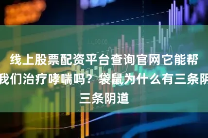 线上股票配资平台查询官网它能帮助我们治疗哮喘吗？袋鼠为什么有三条阴道