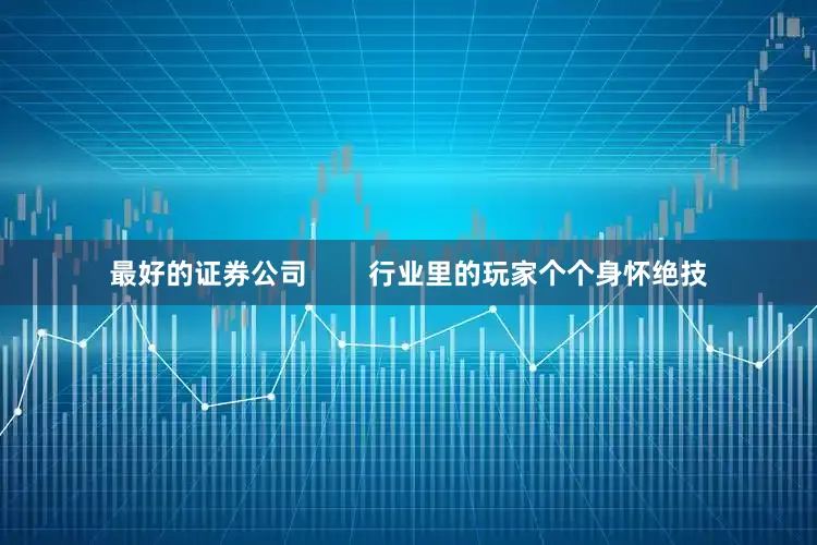 最好的证券公司        行业里的玩家个个身怀绝技