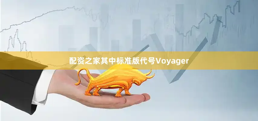 配资之家其中标准版代号Voyager