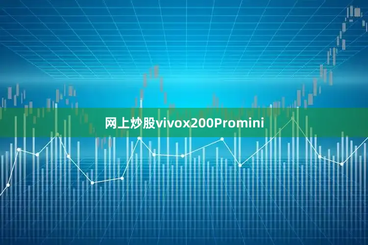 网上炒股vivox200Promini